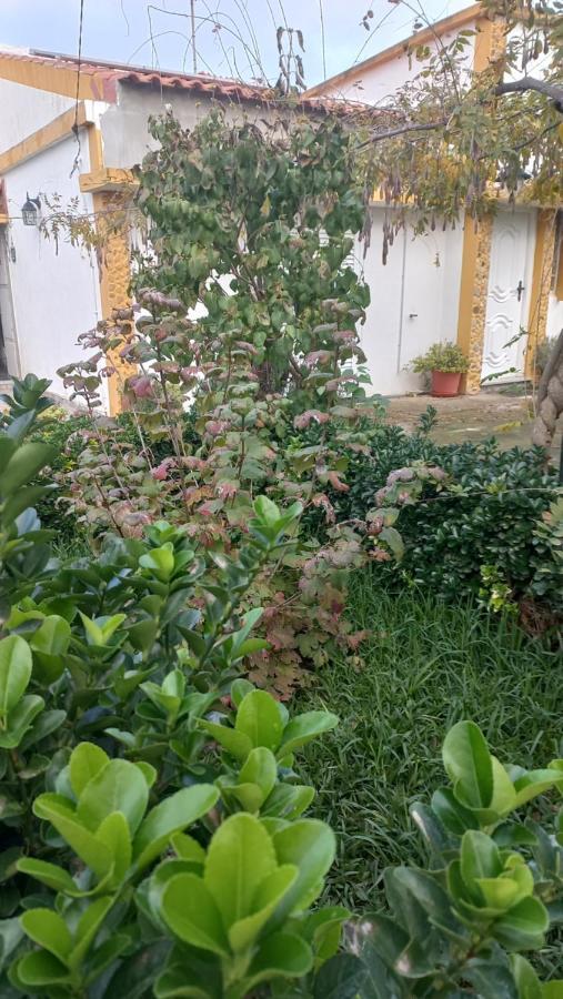 Casa Dos Gansos Vila Perais Exterior foto
